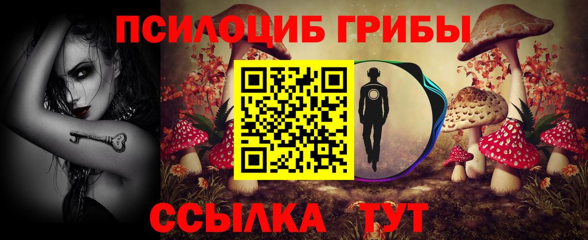 Псилоцибиновые грибы Cubensis  Вход с VPN  купить наркотики цена  Алейск  Галлюциногенные грибы Psilocybe 